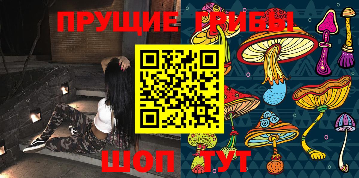 Псилоцибиновые грибы прущие грибы Туапсе